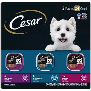Cesar Filets in Gravy Chicken, Steak, Beef, Gravy and Red Meat Flavor Variety Pack Small Breed Wet Dog Food - 5.29lbs/24ct