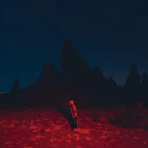 Phoebe Bridgers Punisher Vinyl