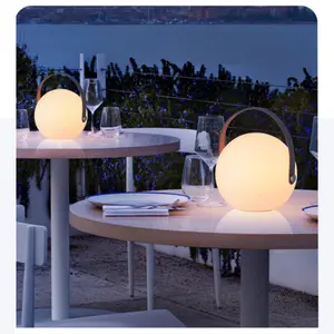 Rechargeable LED Orb Light with 16 Colors & Timer – Portable Ambience Pendant Light, USB Charging, ABS Material, Handheld Design for Indoor & Outdoor Use, Decorative Light | Sleek Pendant Light | Multicolor LED