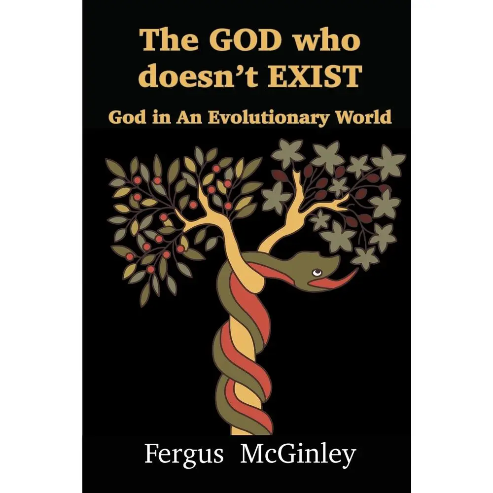 USED Book - The God Who Doesn't Exist: God in an Evolutionary World by McGinley, Fergus (Paperback) - english