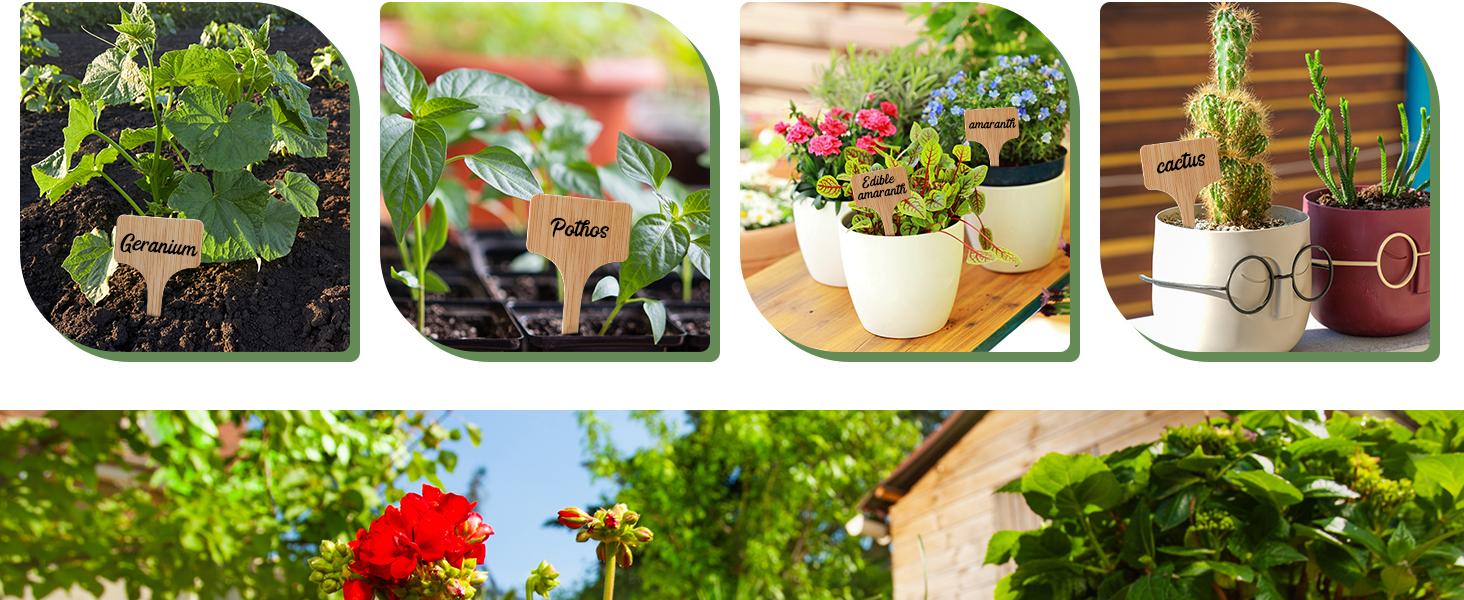 100pcs Plant Labels, T-Type Plastic Tags with Marker Pen, Waterproof Garden Signs for Outdoor Plants (3.9 x 2.4)