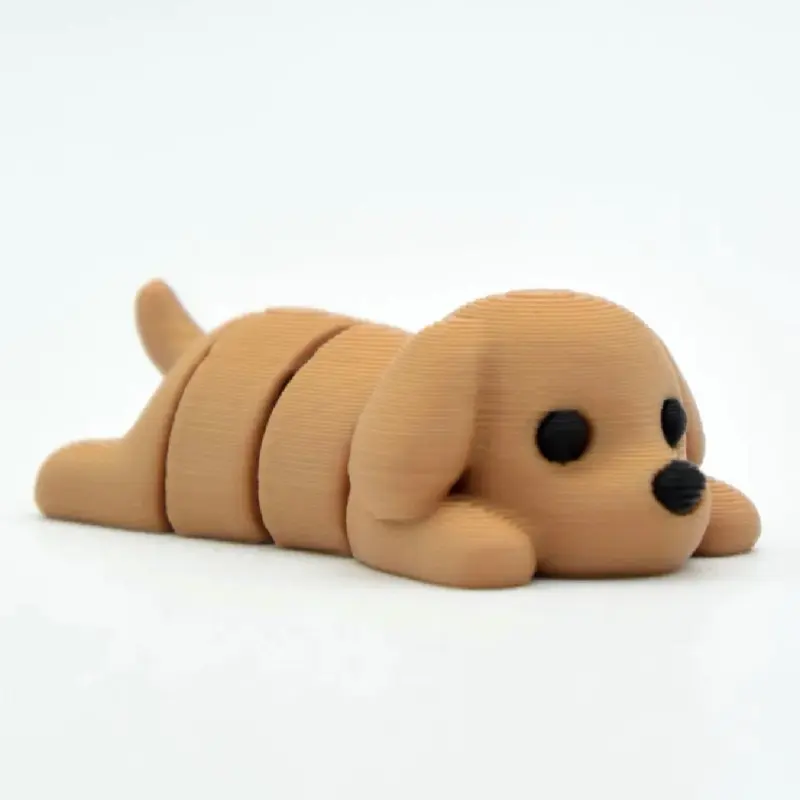 Cute flexi dog