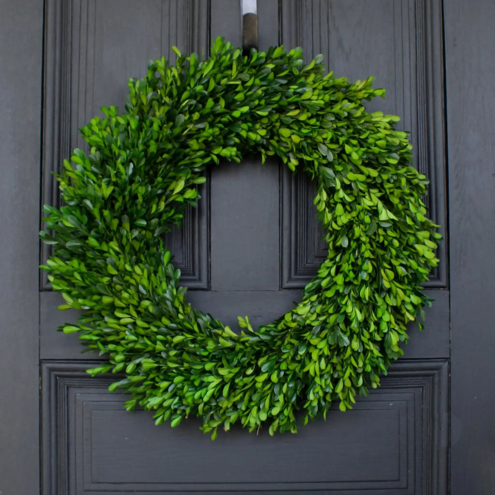 22" Round Traditional Natural Preserved Green Boxwood Wreath - 4" Depth, Straw Base, Long-Lasting, Home Supplies, All-Seasons Festive Home Decoration