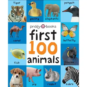 First 100 Big Board: Animals: In the bestselling First 100 series