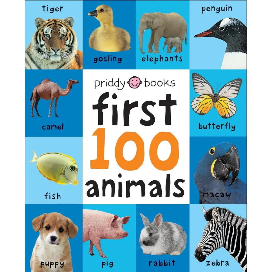 First 100 Big Board: Animals: In the bestselling First 100 series