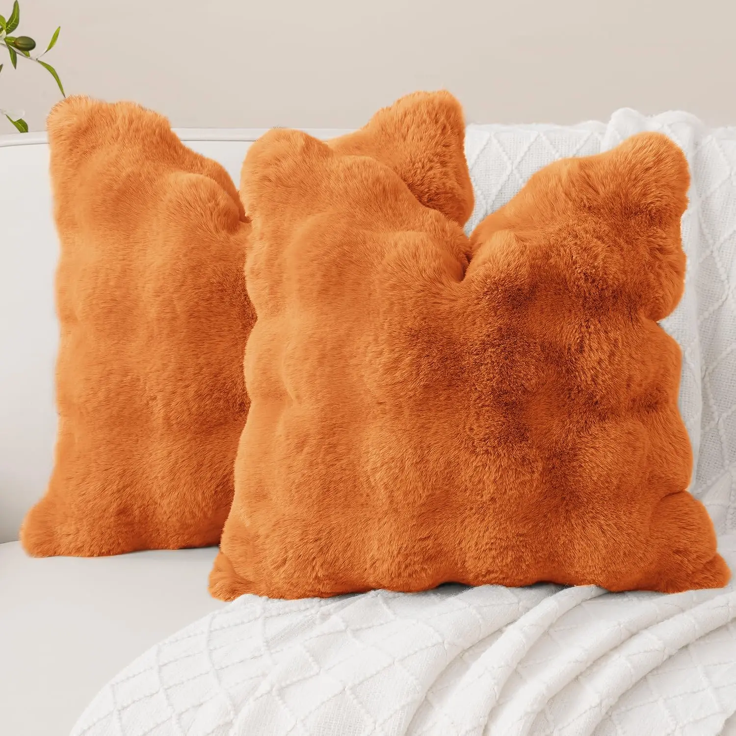 Cream Orange