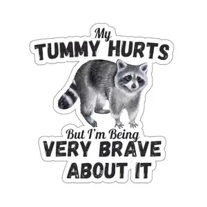Tummy Hurts, Funny Raccoon Sticker, Raccoon Meme, Meme Sticker, Joke, Gen Z, Funny Sticker, Cute Raccoon, Sarcastic Sticker, Vinyl Sticker