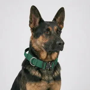 Rugged Forest Green Tactical Dog Collar with Handle - Heavy Duty Anti Pull K9 Military Training Gear, Quick Release Metal Buckle for Large Dogs, German Shepherd, Malinois - Olive Padded Collar