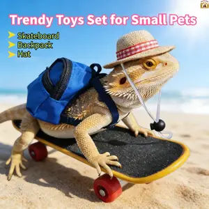 Three piece set of small pet trendy toys (skateboard, backpack, hat), fashionable items for small pets to play with, suitable for lizards, hamsters, parrots, turtles, etc., funny pet toys