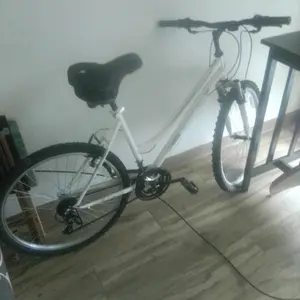 a 2017 roadmaster bike all white with black