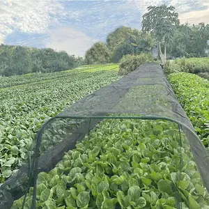 Garden Mesh Netting, Plant Trellis Netting, 1 Count Mosquito Netting Screen for Outdoor Plants Vegetables, Plant Care & Support Supplies for Outdoor Garden