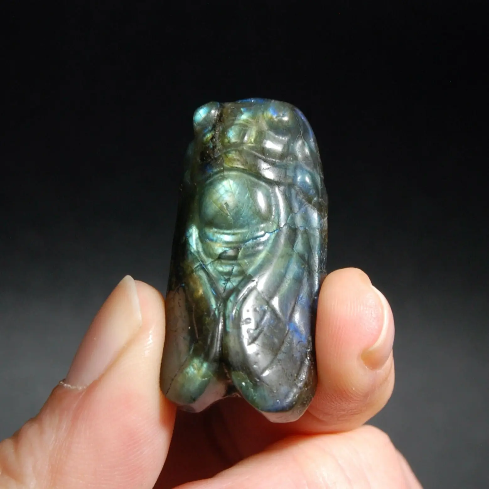 1.75in Labradorite Carved Crystal Cicada, Flashy Crystal Insect Carving 3