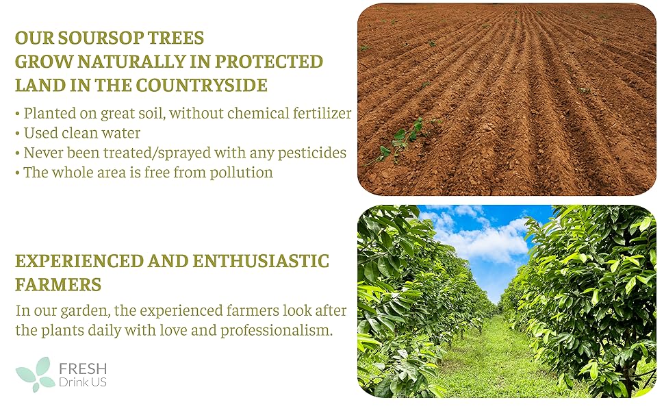 Premium 4.5oz Soursop Fruit Powder, 100% Natural and Pure from Soursop Graviola Fruit, Soursop Graviola Guanabana Fruit Tea, No Additives, No Gluten, No Sugar, Vegan