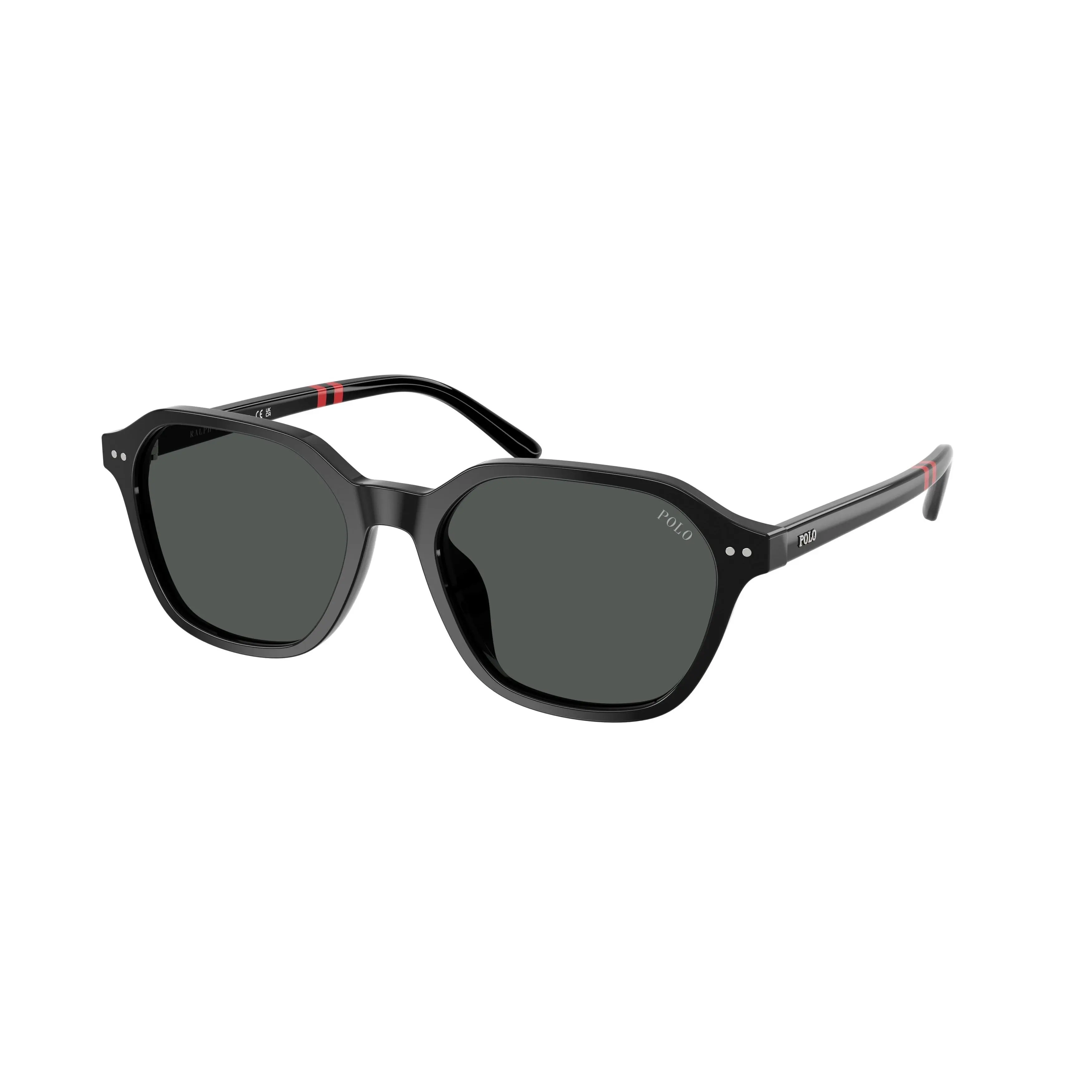 Polo 4234U Sunglasses