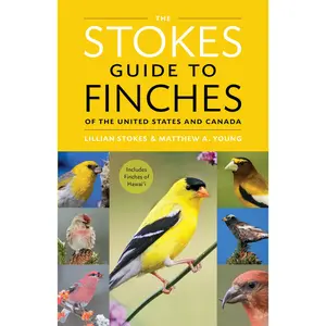 The Stokes Guide to Finches of the United States and Canada by Lillian Q. Stokes, Matthew A. Young [Paperback Book]