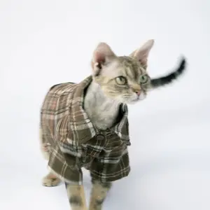 Hairless Cat Clothes Sphinx Devon Shirt Short Sleeve T-Shirt, Trendy Cool Summer Skin-Friendly, Stylish Pet Clothing for Cats