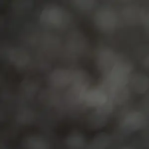 VEVOR Commercial Meat Cutting Machine,  551 Lbs/H 850W Meat Shredding Machine, 3.5mm Blade Electric Meat Cutter, Stainless Steel Restaurant Food Cutter, for Kitchen Supermarket Lamb Beef Chicken, Red