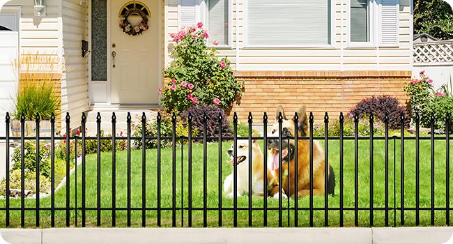 Black Metal Garden Fence — 32" High x 24" Wide (Set of 5 Panels, 10 ft Total Length) — No-Dig Installation, Rustproof Outdoor Barrier, Animal Enclosure Fence; Suitable for Dogs, Patios, Yards, Landscaping, and Flower Bed Borders