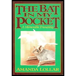 USED-The Bat in My Pocket: A Memorable Friendship by Amanda Lollar (Paperback)