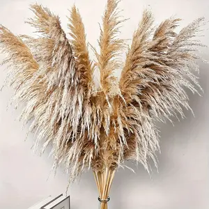 New 38 Tall 20 Stems Luxurious Pampas Grass Decor - Perfect for Festive Holidays, Easy to Arrange, Durable, and Long-Lasting - Ideal for Christmas, Graduation, Hanukkah, Thanksgiving, Valentines Day Decoration Decorative Flower