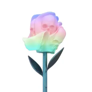 Pastel Rainbow Rose with Skull Designs