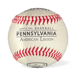 Wilson High School Standard Baseballs 1 Dozen Premium Quality
