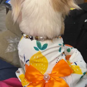 Spring Summer Floral Print Dog Dress, Cute Princess Style Pet Clothes for Small Medium Dogs, Teddy Cats, Thin Comfortable Design