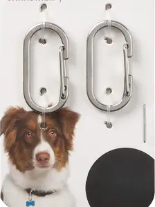 MicroLink Pet Tag Carabiner, Stainless Steel Cat and Dog Tag Clip, 2 Count (Pack of 1)