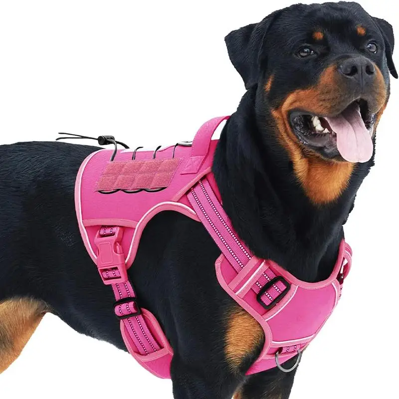 Adjustable Training Pet Vest, Durable Reflective Dog Harness, Easy To Control, Dog & Cat Accessories, Pet Supplies, Summer Gift, Pet Product Tools, Do