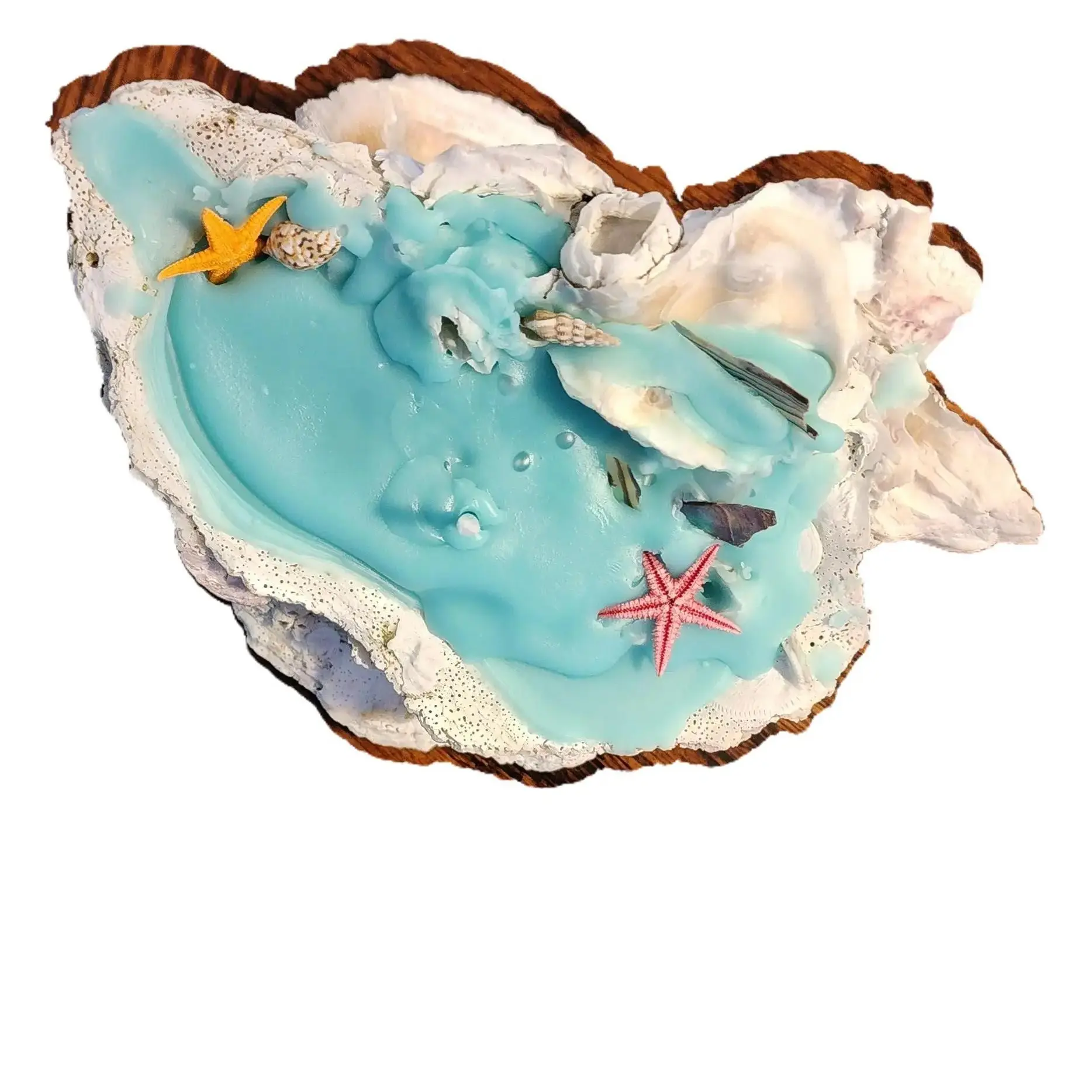 Coastal Handmade Seashells Coconut wax Tranquil Candle Fragrance Scent Aroma Decor Gift Creamy tranquility soothing unique oyster