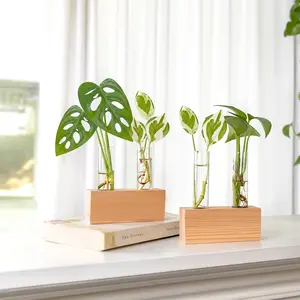 Ivolador Propagation Stations Double Test Tube Plants Terrariums in Wooden Stand Propagation Station for Hydroponic Plants Office Home Decoration