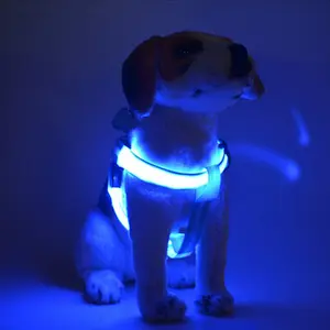 Led Dog Leash, 4 Ft Light Up Dog Leash Rechargeable Waterproof, Nylon Reflective Leashes with Padded Handle for Night Walking, Safety Glow in The Dark Dog Leash for Large Medium Small Pets