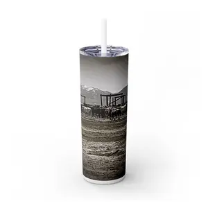 "Get Along" Skinny Tumbler with Straw, 20oz