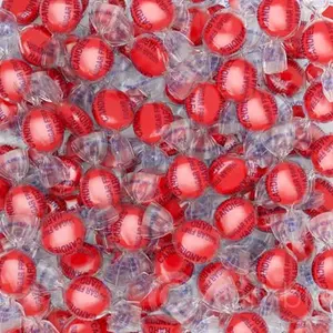 Cambie Sugar Free Cinnamon Hard Candy, 1 lb of Sugar Free Hard Candy, Individually Wrapped Cinnamon Discs, Fiery & Sweet Flavor packaged in a Resealable Pouch