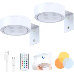 2 Pack  Picture Lights for Wall,Rechargeable Picture Light  Operated with Remote,Dimmable Painting Light for Art Display, Wall Lights for Dartboard Photo Frame Gallery.White Lamp Home