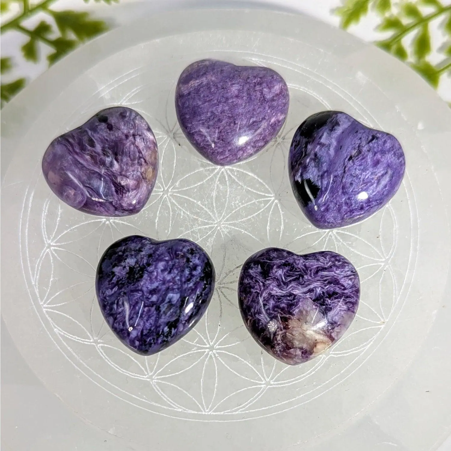 Polished Charoite Mini Heart