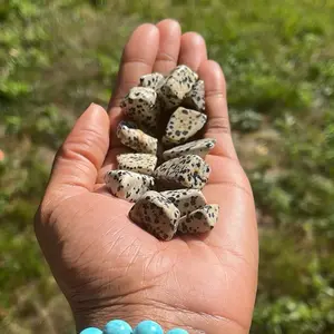 Dalmatian Jasper Tumbled Stone
