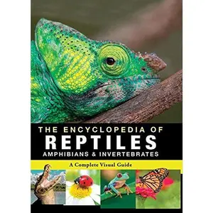 USED-Encyclopedia of Animals - Reptiles by Red Lemon Press (Hardcover)