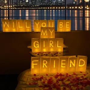 Will You Be My Girlfriend Sign Light Up Letters with Roses Romantic Decorations for Proposal Special Night Valentines Day Brithday Celebrations