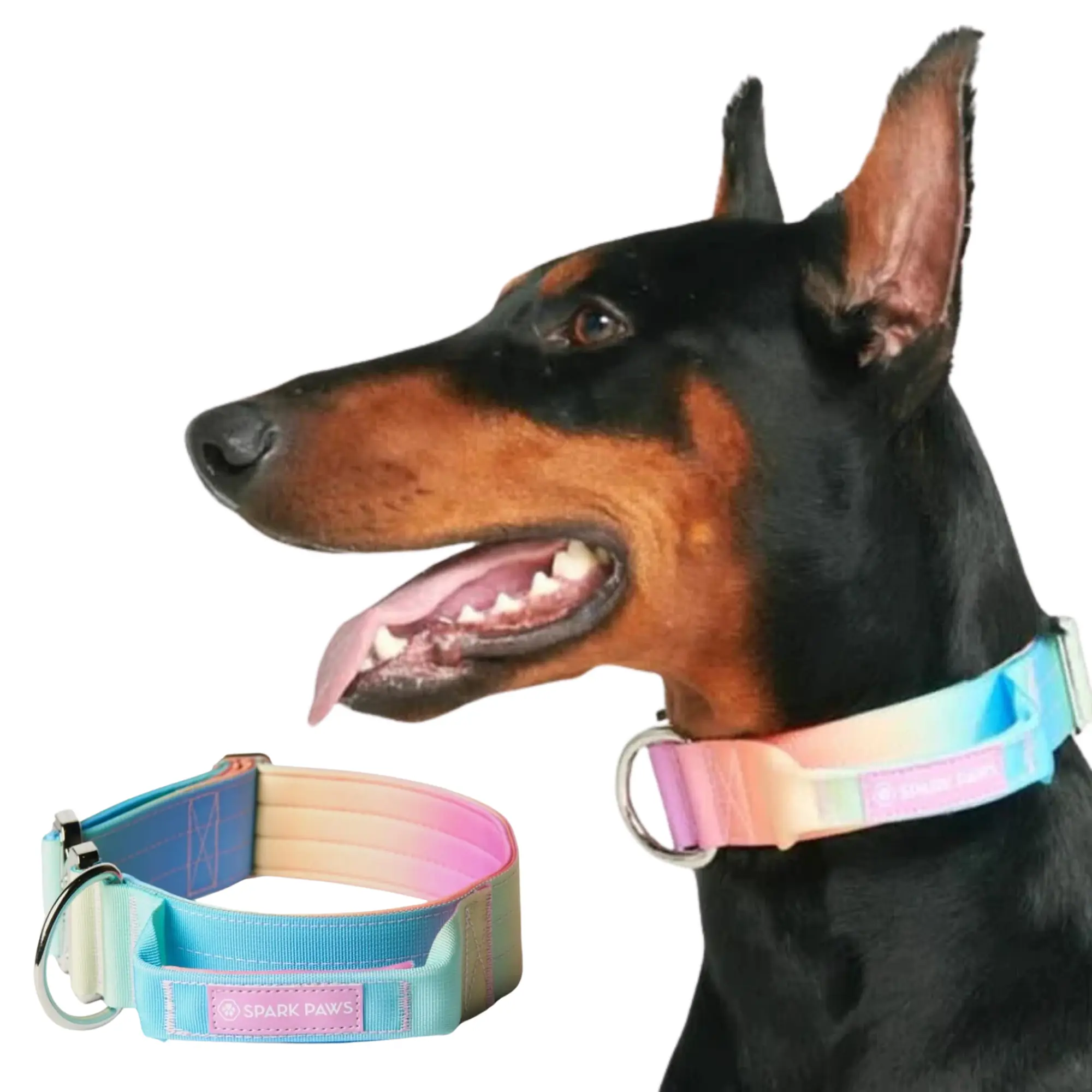 Pastel Icing Collar