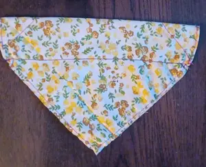 Perfectly Imperfect Doggie Bandana.
