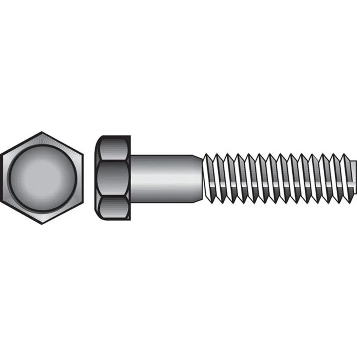 212 MAIN Hex Head Cap Screws - Stainless Steel, Coarse Fully Threaded, 1/4-20 x 3 in, 50-Box for Water Sports, Sailing Hardware