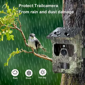 Solar-Powered Wildlife Camera 50MP 4K Video Night Vision 0.3s Motion Detection IP66 Waterproof 64GB Card & Reader Automatic Day/Night Switching for Nature Research