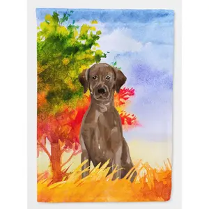 Carolines Treasures  Fall Chocolate Labrador Retriever Garden Size Flag