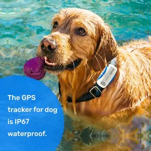 Wireless Waterproof Dog Fence System, Real-Time GPS Dog Tracker for Large Dogs, Wireless Fence, Activity Monitor, Waterproof Smart Pet Locator with AI Health App Cat