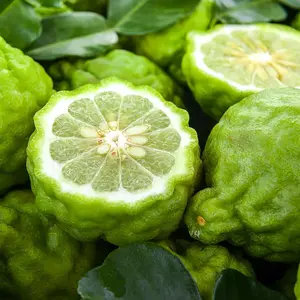 10 Bergamot Orange Fruit Seeds, Heirloom & Non-GMO Citrus Bergamia Sweet Sour Fruits Low Maintenance Outdoor Garden Planting