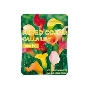 1000+Pcs Calla Lily Seeds Beautiful Flowers Mix Color Perennial Plant