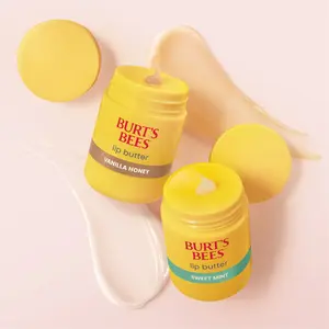 Burt's Bees Lip Butter
