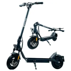 600W Electric Scooter 36V 13Ah Battery 30km/h Max Speed 35-45km Range Foldable Design HD LED Display User-Friendly Dual-Motor Portable High-Performance Off-Road