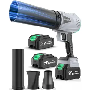Snow Whiz Snow Mster, 21V 2pcs Leaf Blower 4.0Ah-Compact Blower with Long Tube and Flat Nozzle for Outside Car Dryinbg